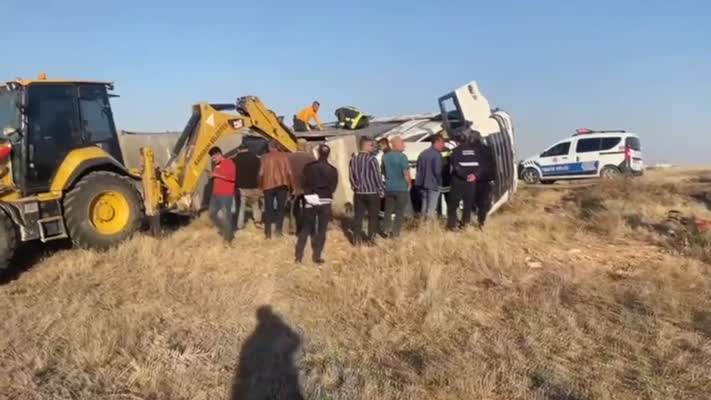 Konya’da devrilen tırdaki 100 koyun telef oldu