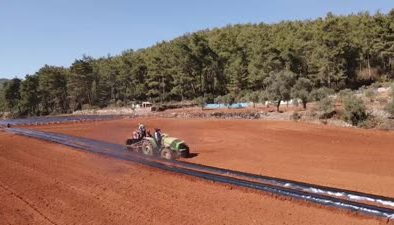 Küçük parçalı arazileri 12 ay çilek üretimiyle ekonomiye kazandırıldı