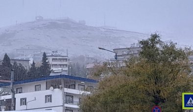 Kulp ilçesinde taşımalı eğitime kar tatili