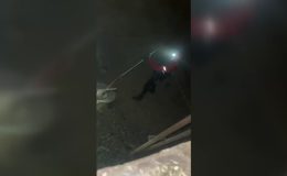 Kuyuda mahsur kalan tilkiyi AFAD ekipleri kurtardı
