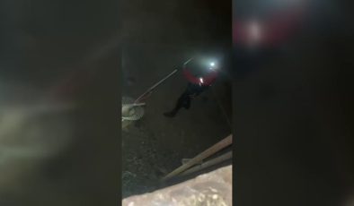 Kuyuda mahsur kalan tilkiyi AFAD ekipleri kurtardı