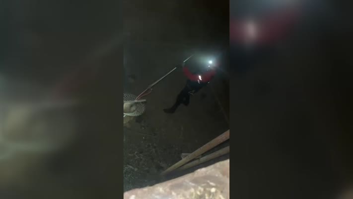 Kuyuda mahsur kalan tilkiyi AFAD ekipleri kurtardı
