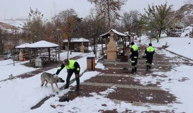 Malatya’da kış şartlarında sokak ve yaban hayvanlarına destek