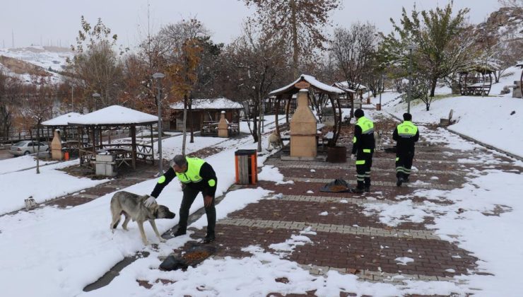 Malatya’da kış şartlarında sokak ve yaban hayvanlarına destek