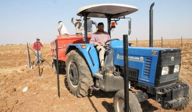 Mardin’de çiftçi 200 sertifikalı fıstık ağacı dikti