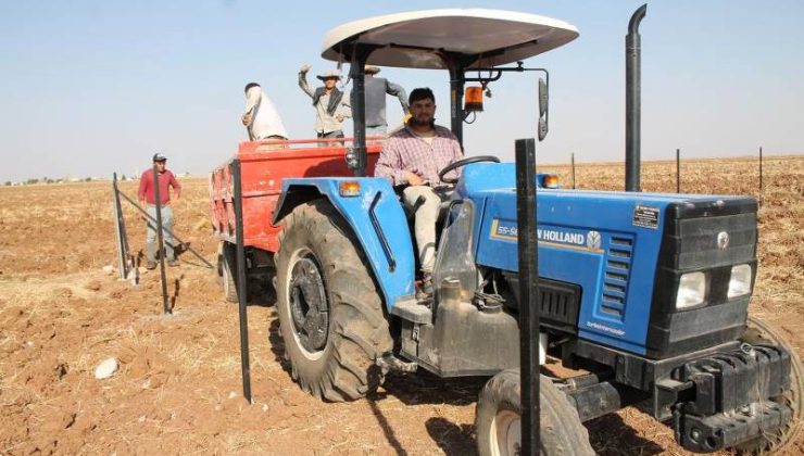 Mardin’de çiftçi 200 sertifikalı fıstık ağacı dikti