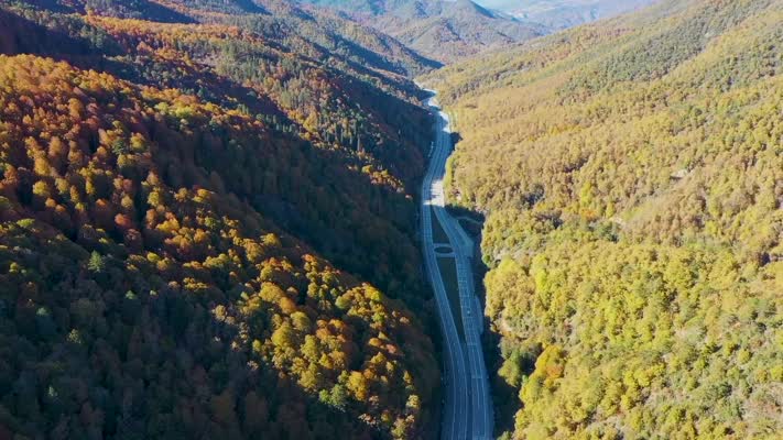 Mengen çevresindeki ormanlar sonbaharın renkleriyle süslendi