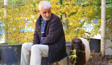 Muş’ta yürekleri ısıtan dostluk: Maşallah Aslan ve kuzusu Fulya