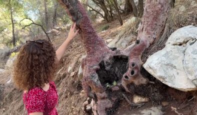 Olimpos’un yüzyıllardır sönmeyen ateşi her mevsim turistlerin rotasında