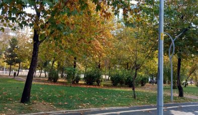 Yağış cadde ve parkları sessizliğe boğdu