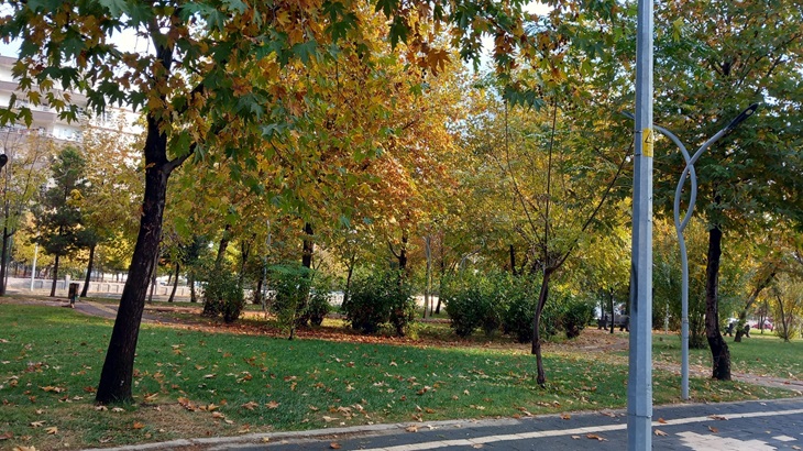 Yağış cadde ve parkları sessizliğe boğdu