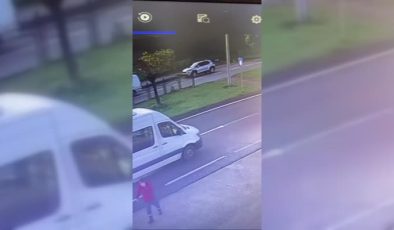 Sokak köpeklerin kadına saldırma anı