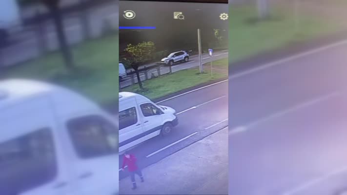 Sokak köpeklerin kadına saldırma anı