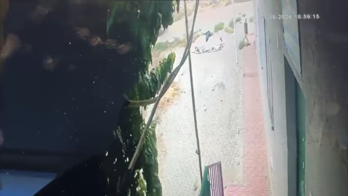 Narin Güran cinayetinde yeni deliller dava dosyasında