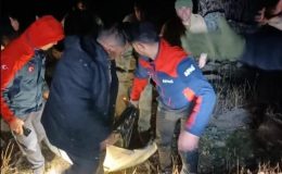 Siirt’te otomobil uçurumdan düştü: 1 ölü, 2 yaralı