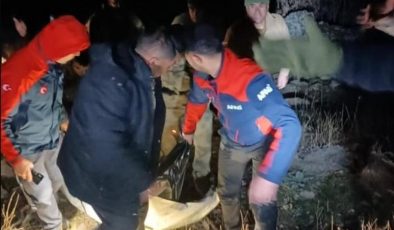 Siirt’te otomobil uçurumdan düştü: 1 ölü, 2 yaralı