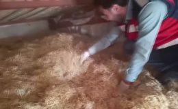 Silah kaçakçılığı operasyonunda 5 zanlı yakalandı