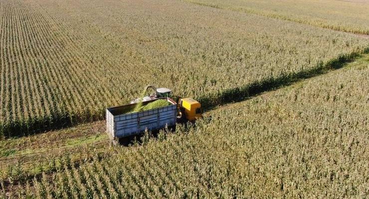 Tarım-ÜFE’de yıllık artış yüzde 35,46’yı buldu