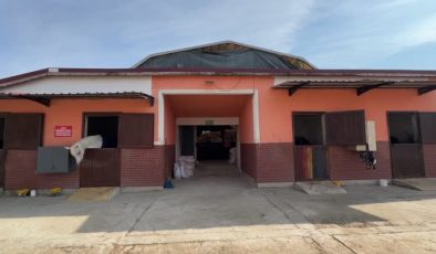 Tören ve müsabaka atları emeklilikte de binicilik sporuna hizmet ediyor