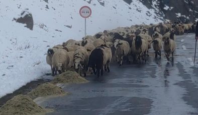 Van’da besiciler karla mücadelede: Zorlu kış mesaisi başladı