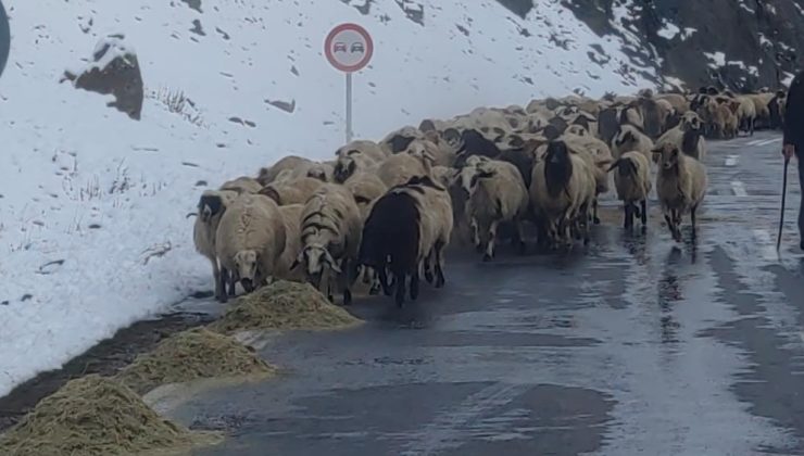 Van’da besiciler karla mücadelede: Zorlu kış mesaisi başladı