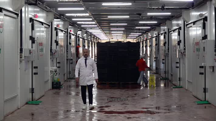 Van’da kadınların işlettiği mantar tesisi 48 ile ürün gönderiyor