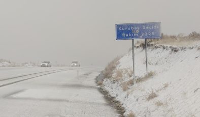 Van’da kar ve sis yüksek kesimlerde hayatı zorlaştırdı