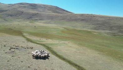 Van’da kaybolan küçükbaş hayvanlar, öğretmenin uçurduğu dronla bulundu