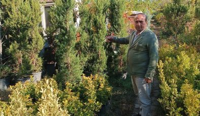 Diyarbakır’da fidan sezonu başladı, fidancıların yüzü güldü