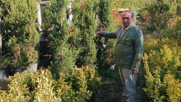 Diyarbakır’da fidan sezonu başladı, fidancıların yüzü güldü