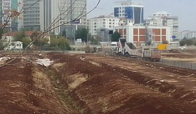TMO “Sarı Altınları” depolardan çıkarmaya başladı