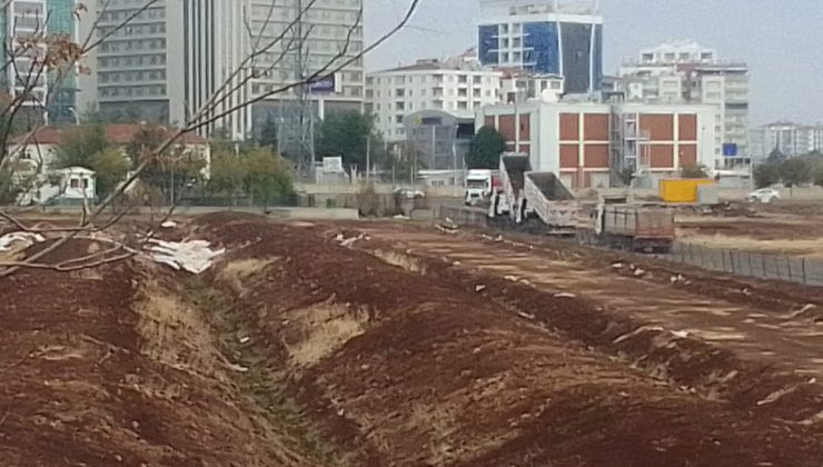 TMO “Sarı Altınları” depolardan çıkarmaya başladı