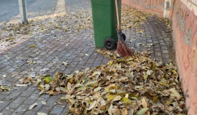 Diyarbakır’da yaprak mesaisi başladı