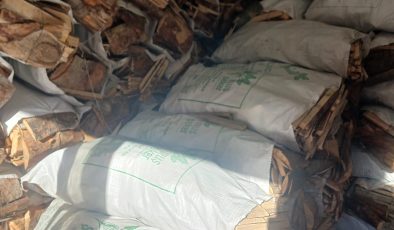 Kış geldi, çuvalda tahta ve kömür satışları başladı