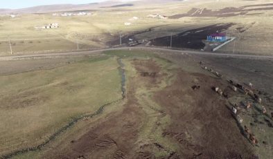 Yaylaları suya kavuşan Ardahan’da hayvancılık potansiyeli artıyor