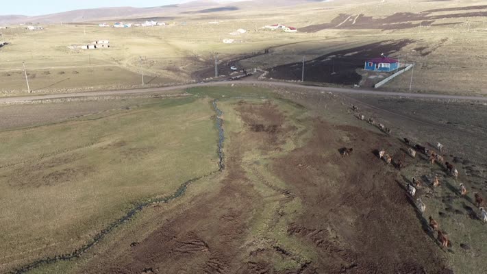 Yaylaları suya kavuşan Ardahan’da hayvancılık potansiyeli artıyor