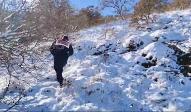 Yozgat jandarmasından yaban hayvanlarına destek