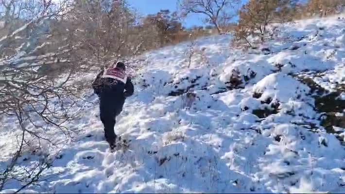 Yozgat jandarmasından yaban hayvanlarına destek
