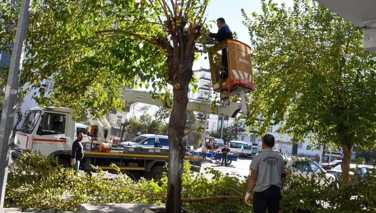 Bağlar Belediyesi: ”Daha yeşil bir Bağlar için çalışıyoruz”