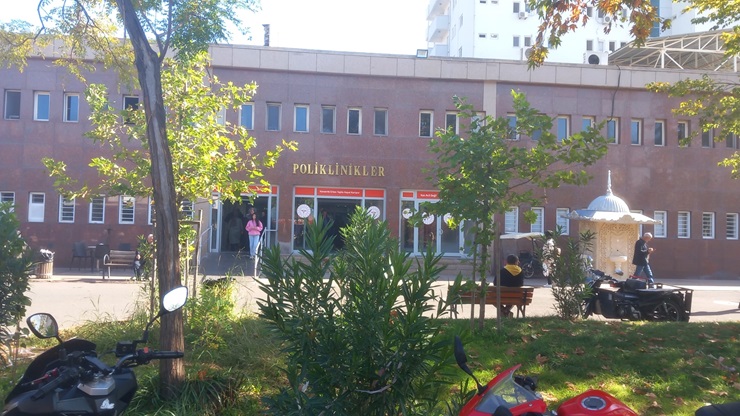 Başıboş köpekler hastane bahçe ve çevresini mesken ediniyor