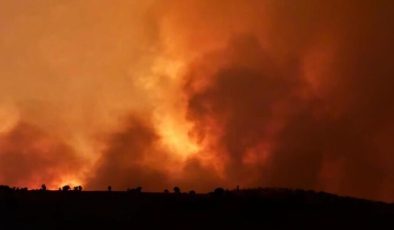 Çınar ve Mazıdağı Yangınıyla İlgili Bilirkişi İncelemesi Ankara’da devam ediyor