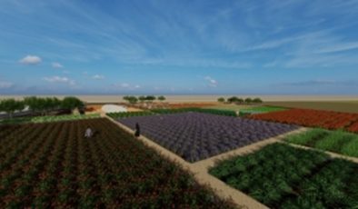 Diyarbakır’da tıbbi ve aromatik bitki bahçesi oluşturulacak