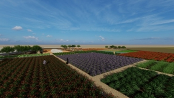 Diyarbakır’da tıbbi ve aromatik bitki bahçesi oluşturulacak