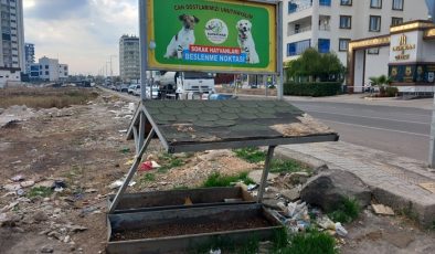 Sokak hayvanları beslenme noktaları dört biryanda!