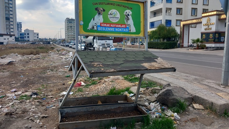 Sokak hayvanları beslenme noktaları dört biryanda!