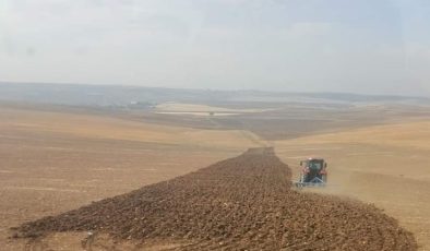 Kulp ilçesinde çiftçiler buğday ekimine başladı