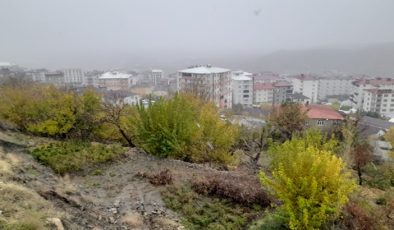 Kulp ilçe merkezinde kar yağışı başladı
