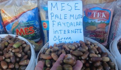 Her derde deva Meşe Palamudu tezgahlarda yerini aldı