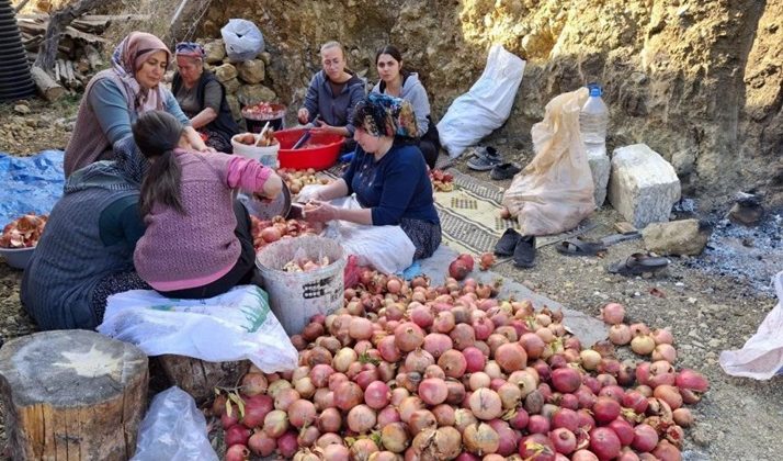 Nar ekşisinin zorlu mesaisi başladı