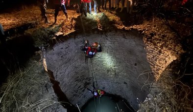 Kuyuya düşen yaban domuzu kurtarıldı